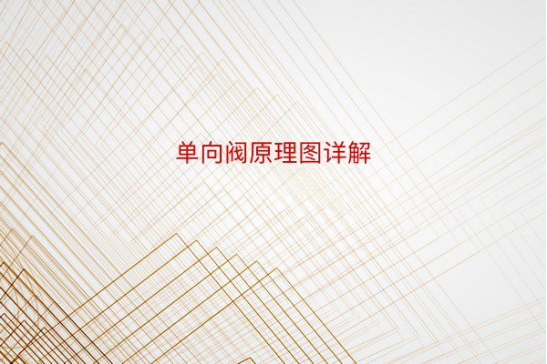 单向阀原理图详解